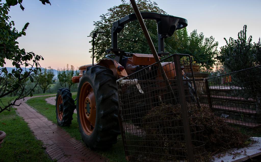 Farm stay Agriturismo La Torricella Pistoia