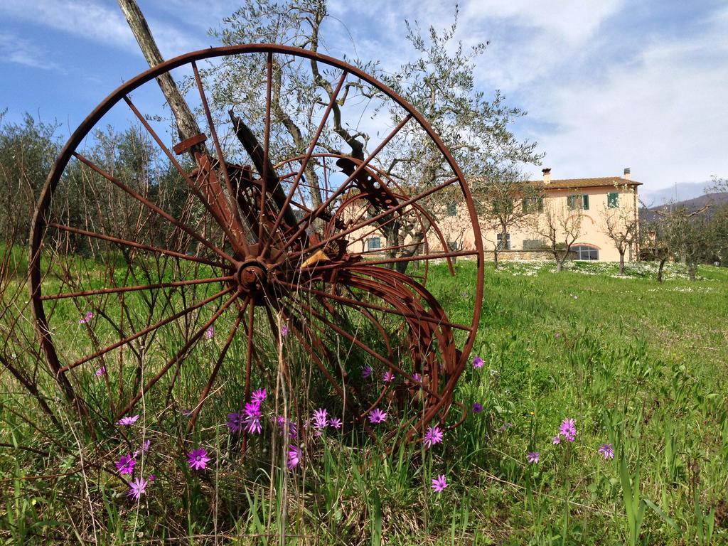 Farm stay Agriturismo La Torricella *